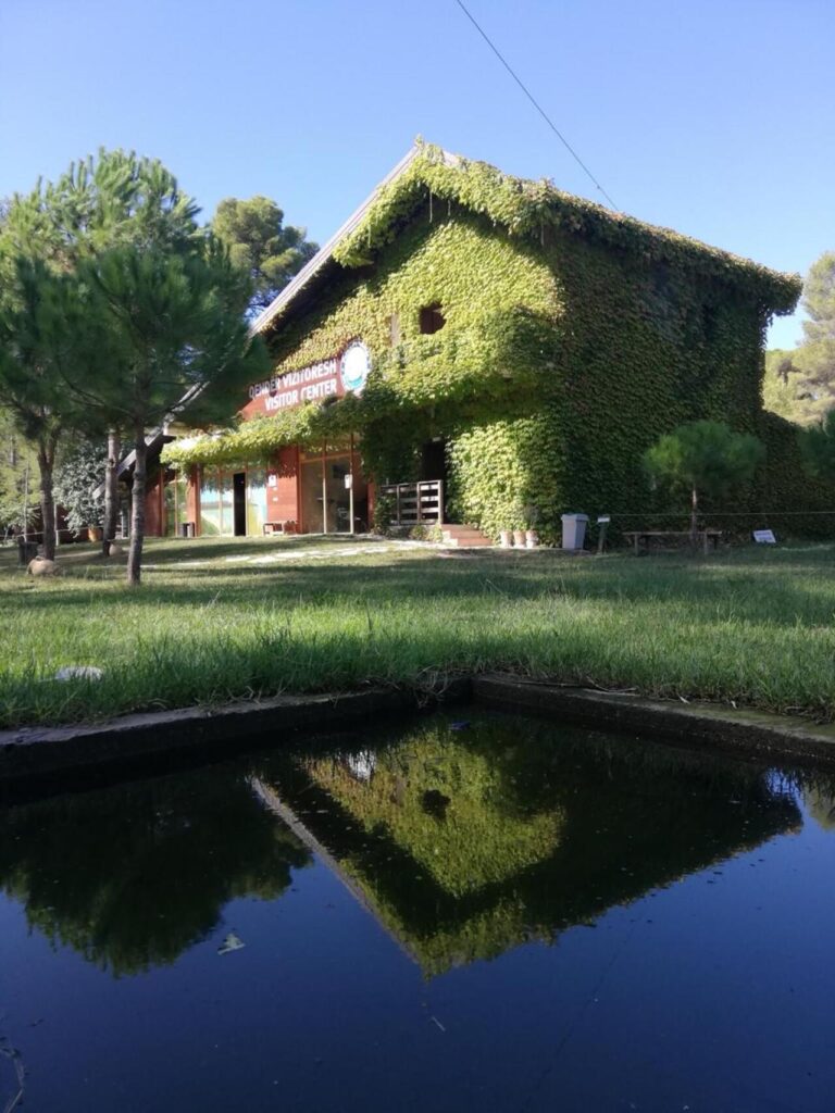 Come arrivare al lago Bovilla da Tirana: tutte le opzioni a confronto (2026)
